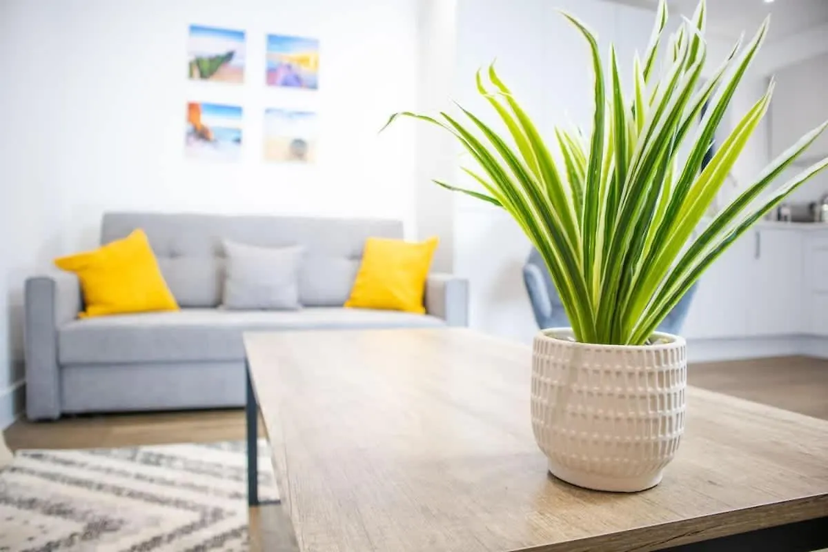 Central 2 Bed 2 Bath Apartment Near Brighton College, Beach, Hospital - Long Stay Offers
